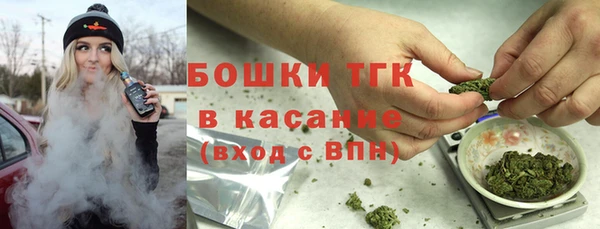 тгк Дмитриев