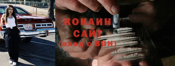 гидра Инсар
