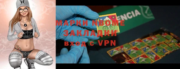 тгк Дмитриев