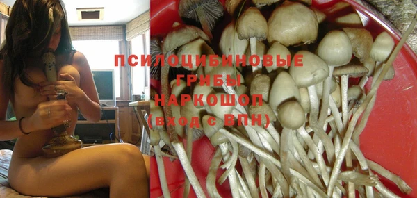 тгк Дмитриев