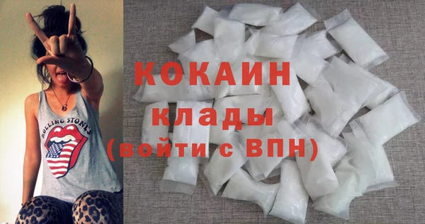 тгк Дмитриев