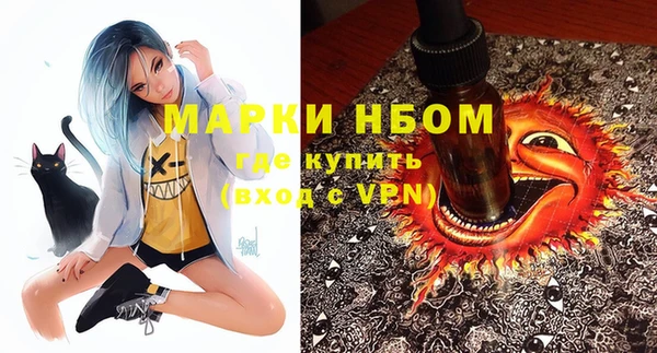 тгк Дмитриев