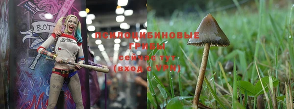 альфа пвп Зерноград
