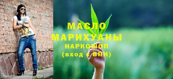 тгк Дмитриев